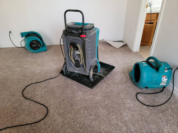 Best Fire Damage Restoration  in Fayetteville, TN