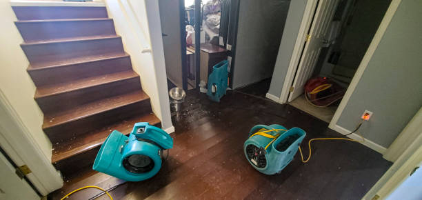 Best Water damage mitigation services  in Fayetteville, TN