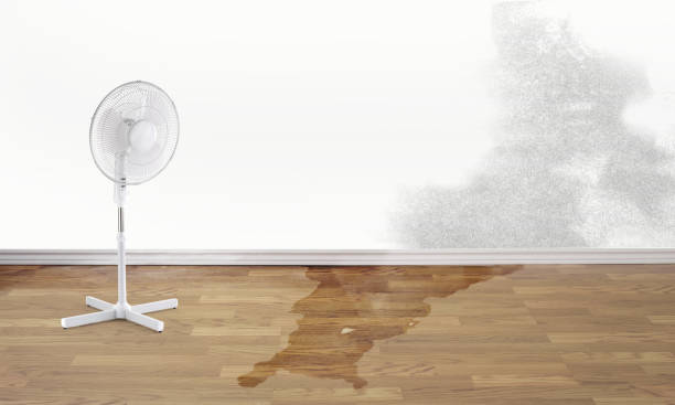 Best Water damage restoration mold remediation  in Fayetteville, TN