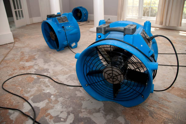 Best Mold removal after water damage  in Fayetteville, TN
