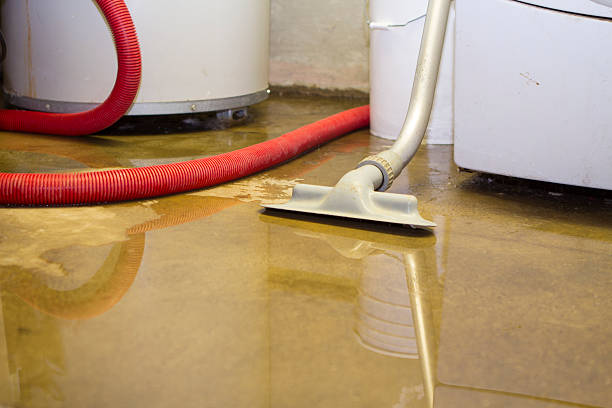 Best Sewage cleanup and water damage restoration  in Fayetteville, TN