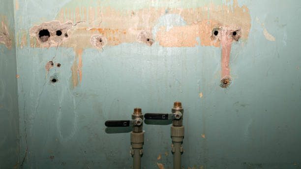 Best Flood damage cleanup  in Fayetteville, TN