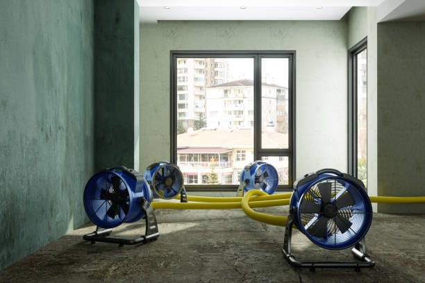 Best Water damage restoration services  in Fayetteville, TN