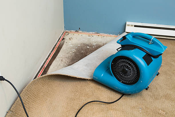 Best 24/7 water damage repair  in Fayetteville, TN